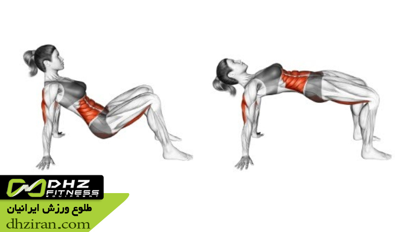 تقویت عضلات مرکزی و پشت 